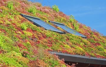 Wyberton living roof systems